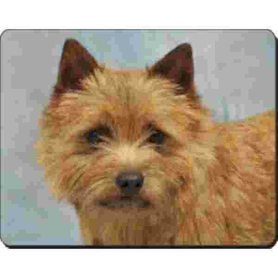 Norwich Terrier  Muismat