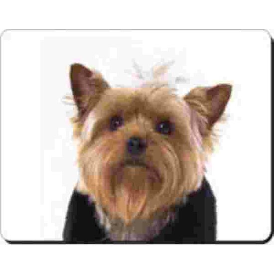 Yorkshire Terrier Muismat