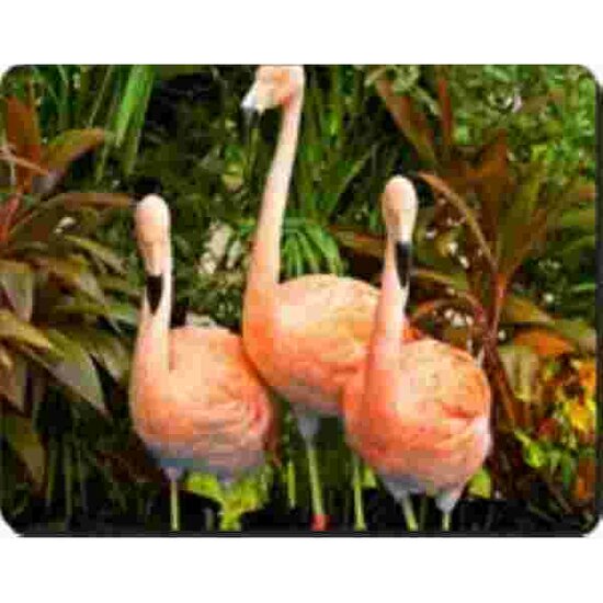 2  Flamingo&#039;s  Muismat