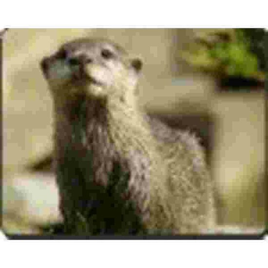 Otter Muismat