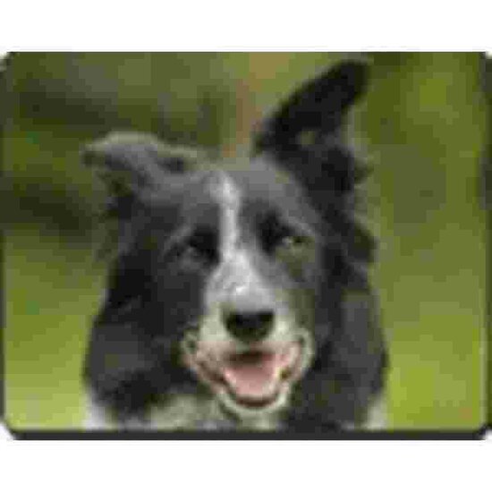 Border Collie Muismat