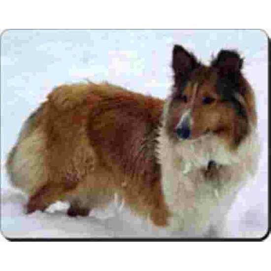 Muismat Shetland Sheepdog sneeuw Advanta