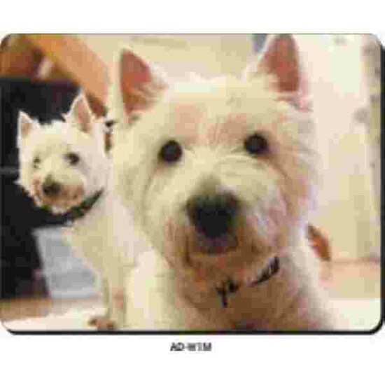 Muismat West highland Terrier Advanta