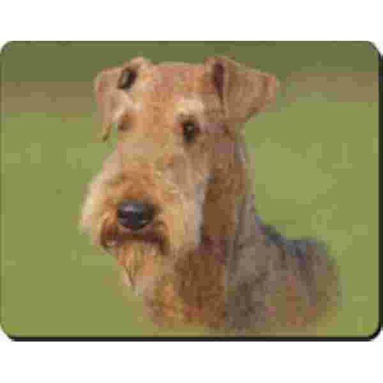 Airdale Terrier Muismat