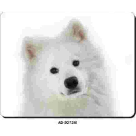 Samoyed  Muismat