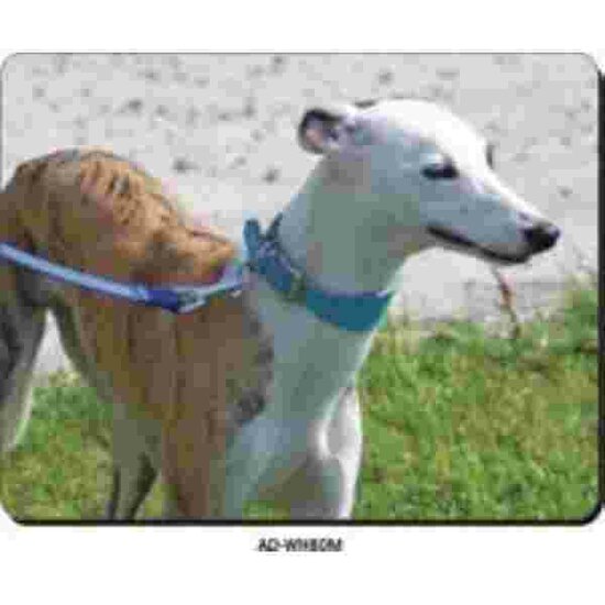 Whippet Muismat