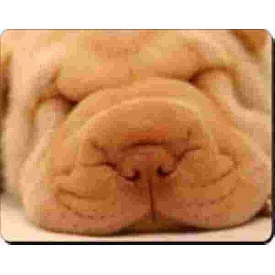 Pup Face Close Up muismat