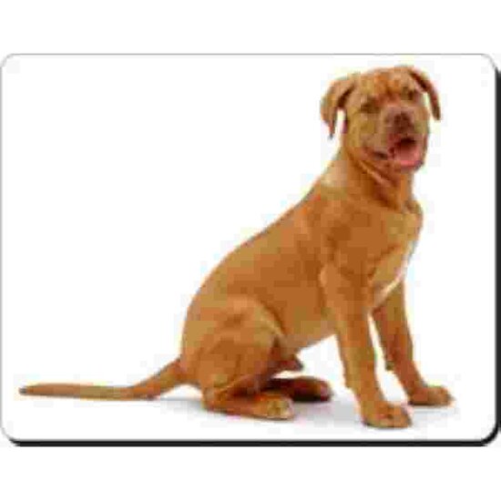 Dogue De Bordeaux Muismat