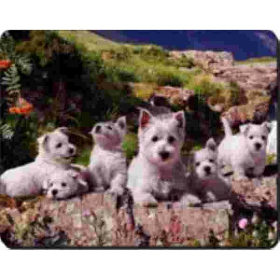 West Highland Terrier Familie Muismat