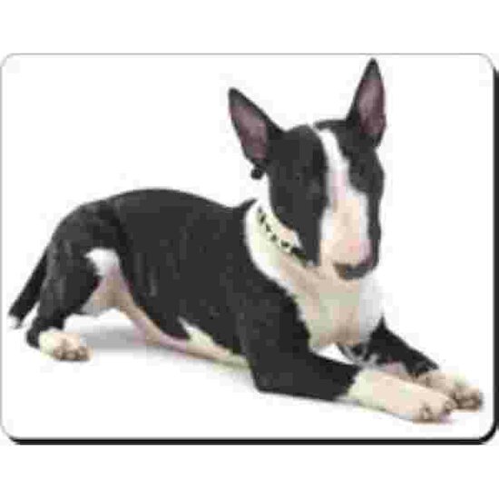 Bull Terrier zwart wit Muismat