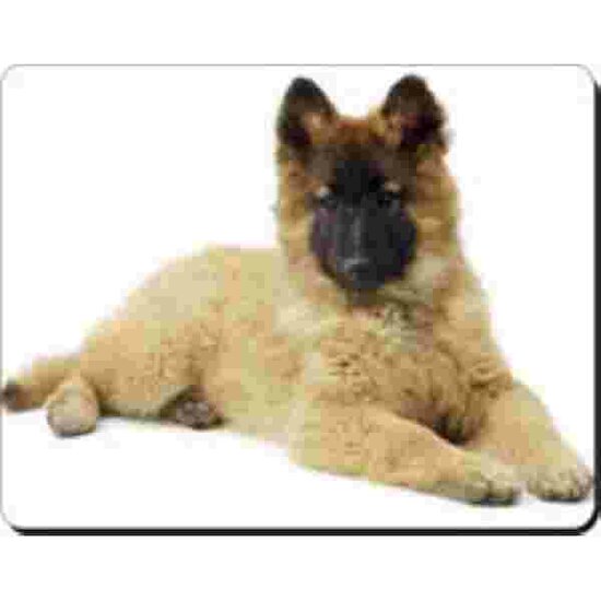 Belgische herder Pup Muismat