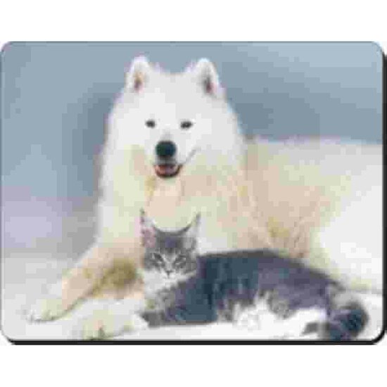 Samoyeed+Main Coon Muismat