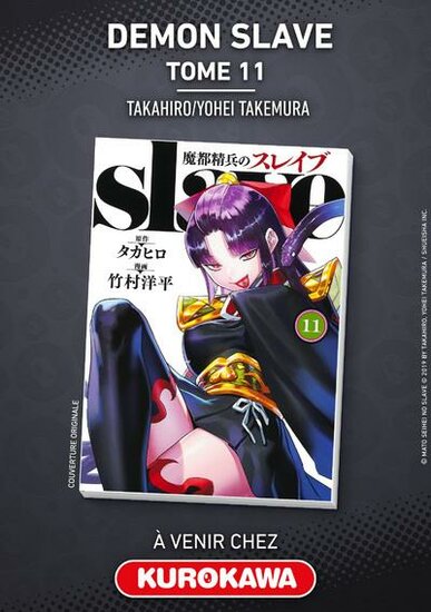 Demon Slave - Tome 11