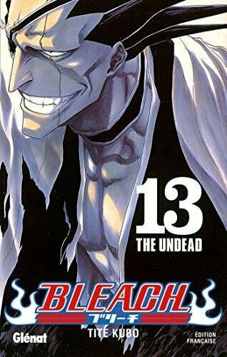 BLEACH - Tome 13