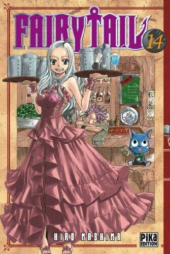 FAIRY TAIL - Tome 14