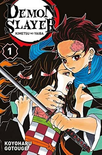 DEMON SLAYER - Tome 1